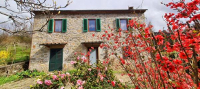 Casa Millefiori, Bagni Di Lucca